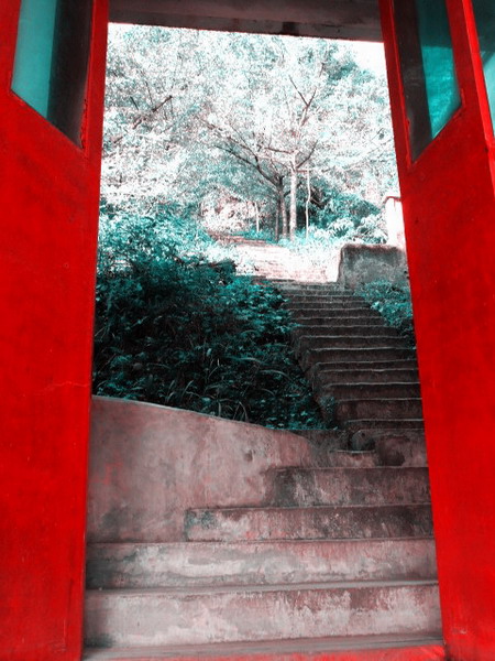 DSCF0621.JPG