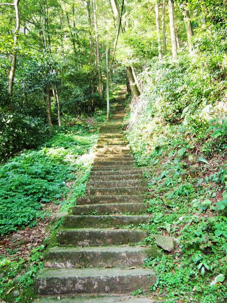 DSCF0623.JPG