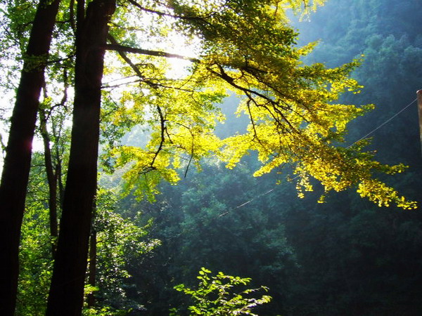 DSCF0628.JPG