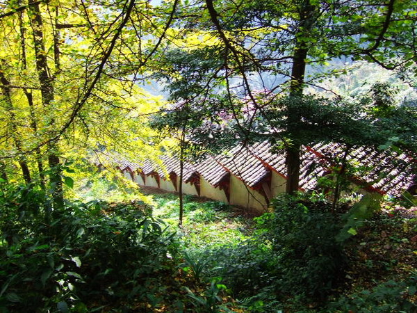 DSCF0692.JPG