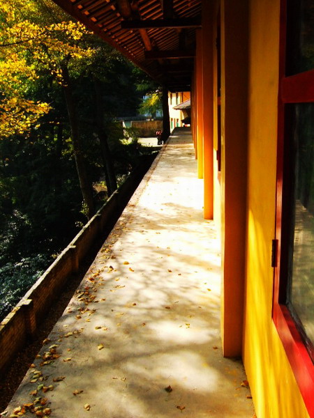DSCF0641.JPG