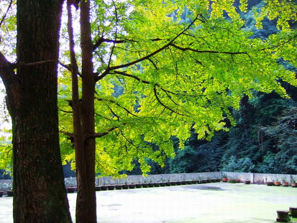 DSCF0734.JPG