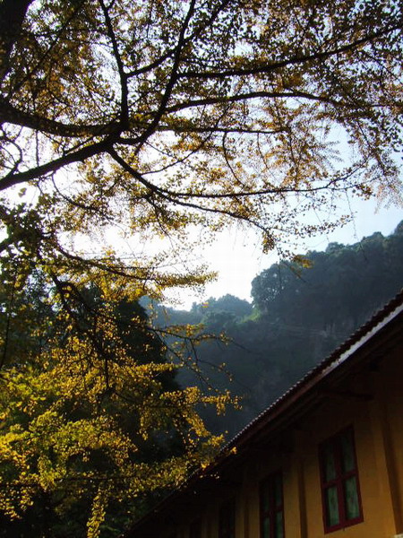 DSCF0745.JPG