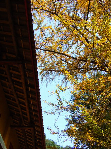 DSCF0753.JPG