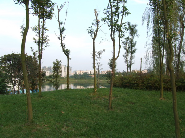 DSCF0545.jpg