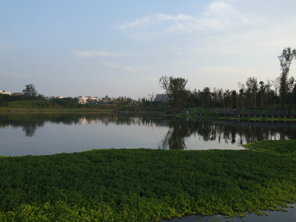 DSCF0533.jpg