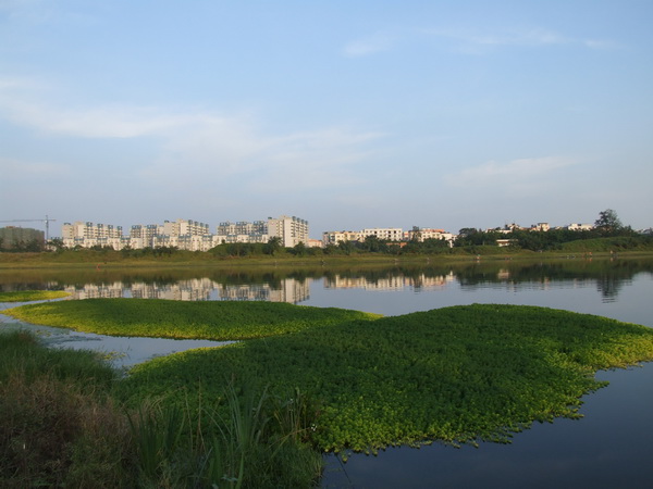 DSCF0538.jpg