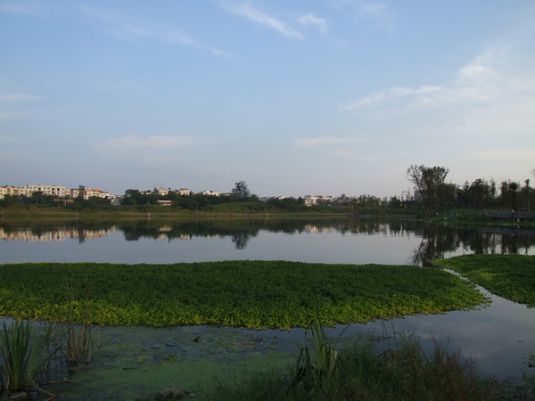 DSCF0537.jpg