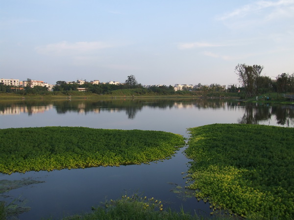 DSCF0531.jpg