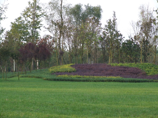 DSCF0527.jpg