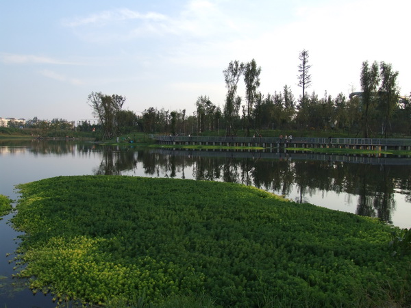 DSCF0529.jpg