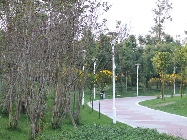 DSCF0548.jpg