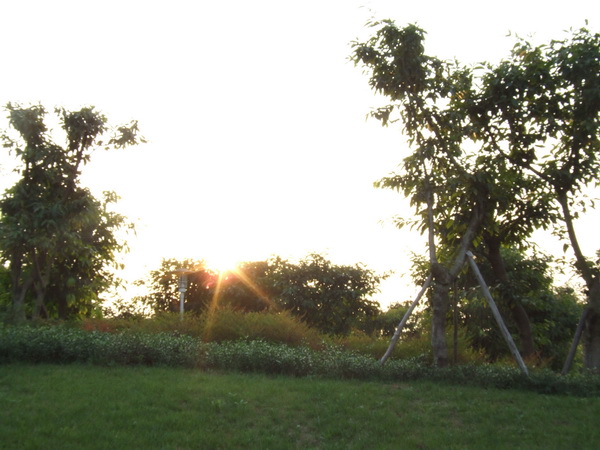 DSCF0546.jpg
