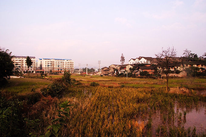 DSCF3682.jpg