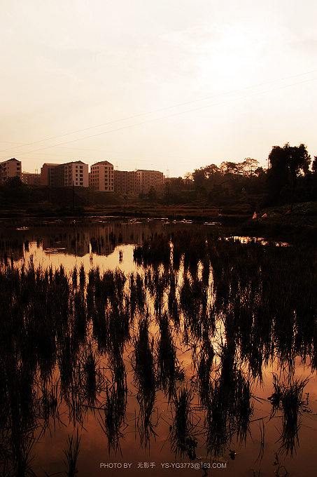 DSCF3684.jpg