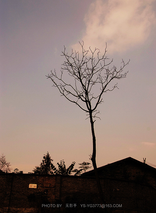 DSCF3702.jpg