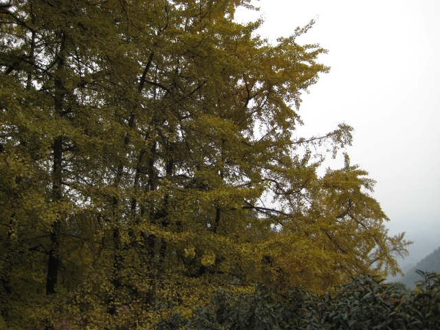 IMG_3317.JPG