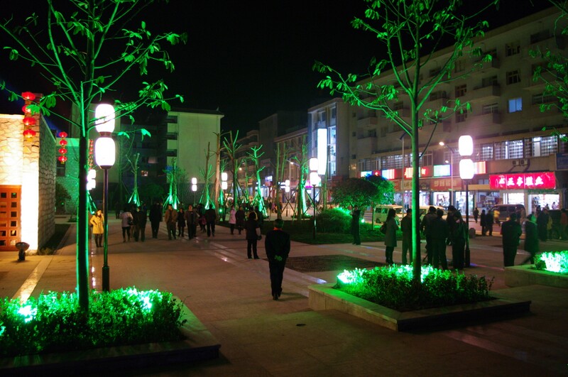 IMGP7011.JPG