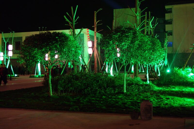IMGP7013.JPG