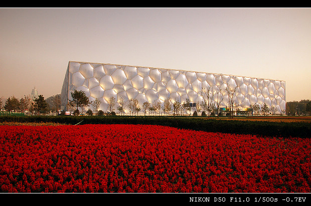 DSC_0134.jpg