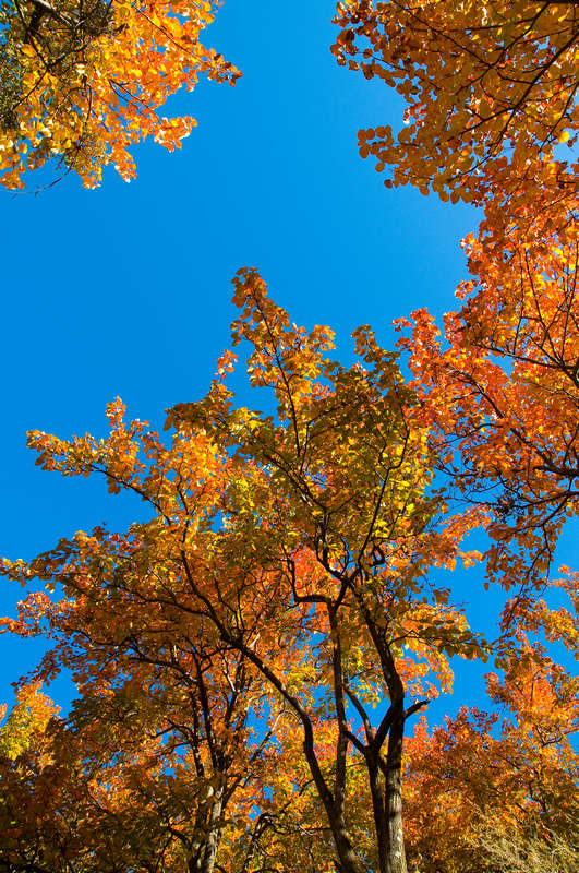 _DSC0800_Ӱ_2.jpg