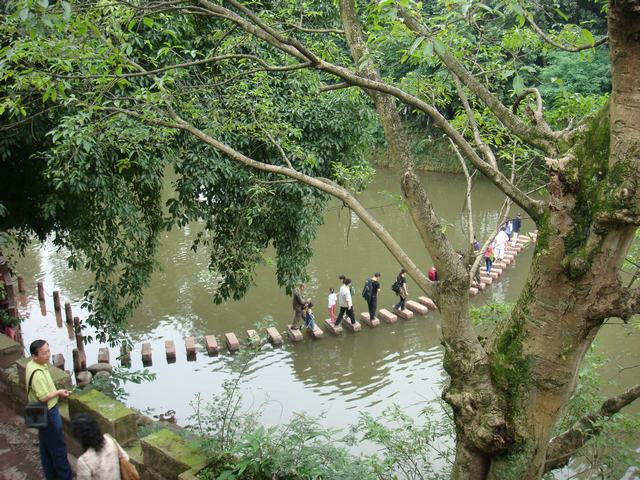 DSC08081.JPG