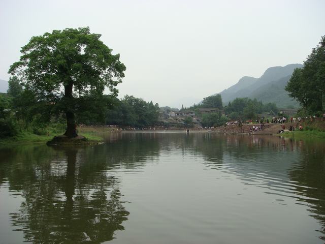 DSC08092.JPG
