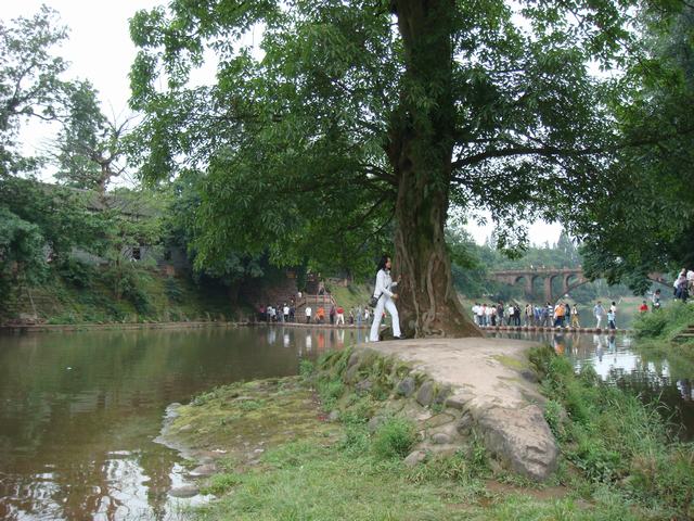 DSC08094.JPG