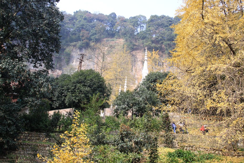 IMG_0284.jpg