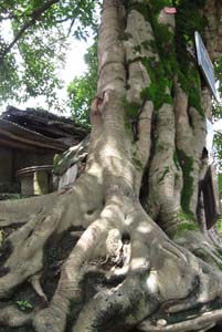 ǡϣǨߡ