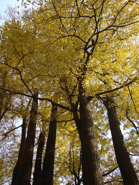DSC00827.JPG