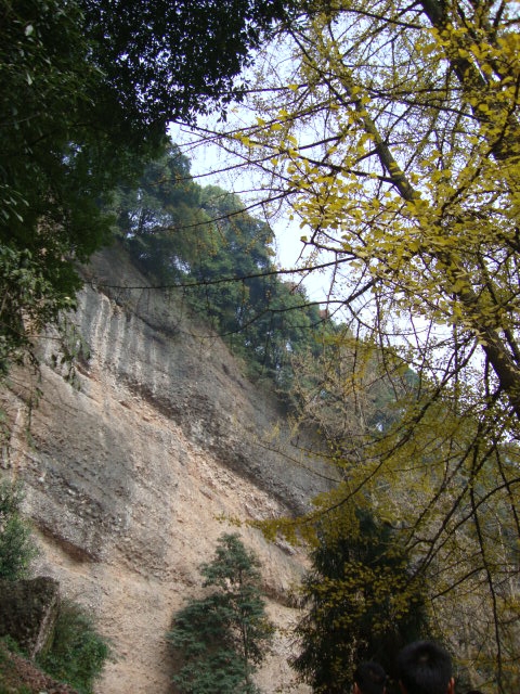 DSC00893.JPG