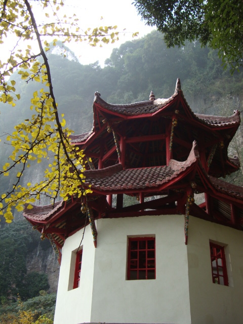 DSC00904.JPG