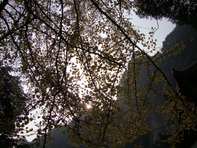 DSC00913.JPG
