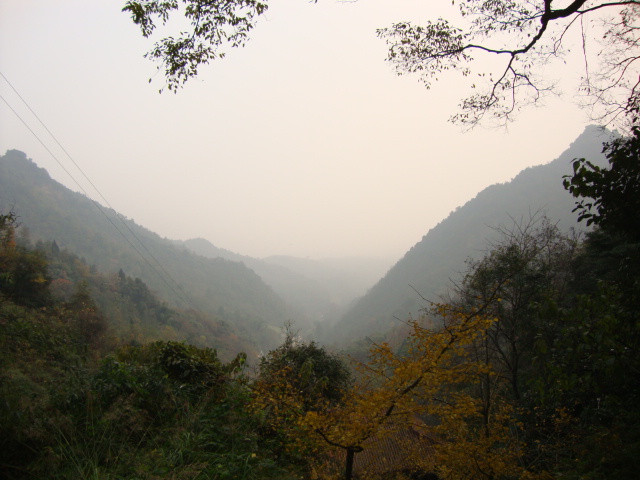 DSC00915.JPG