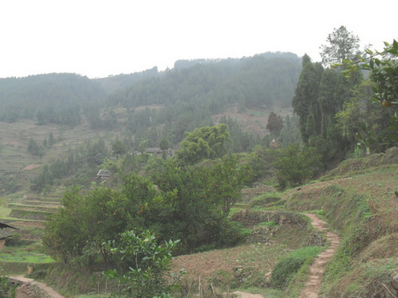 09.jpg