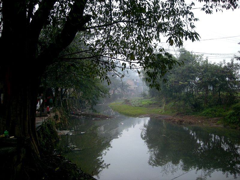 DSCN0183.jpg