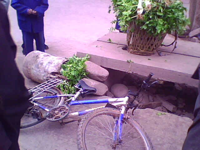 IMG0811A.jpg