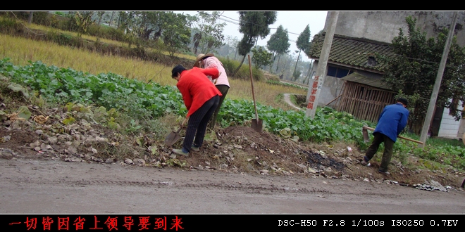 DSC02487_Ӱ_1.jpg