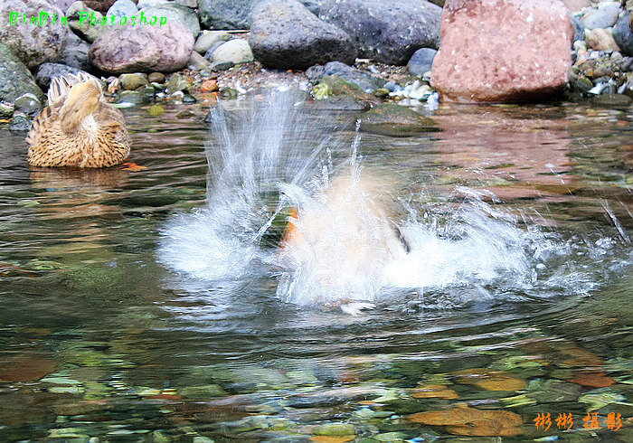 IMG_0038.jpg