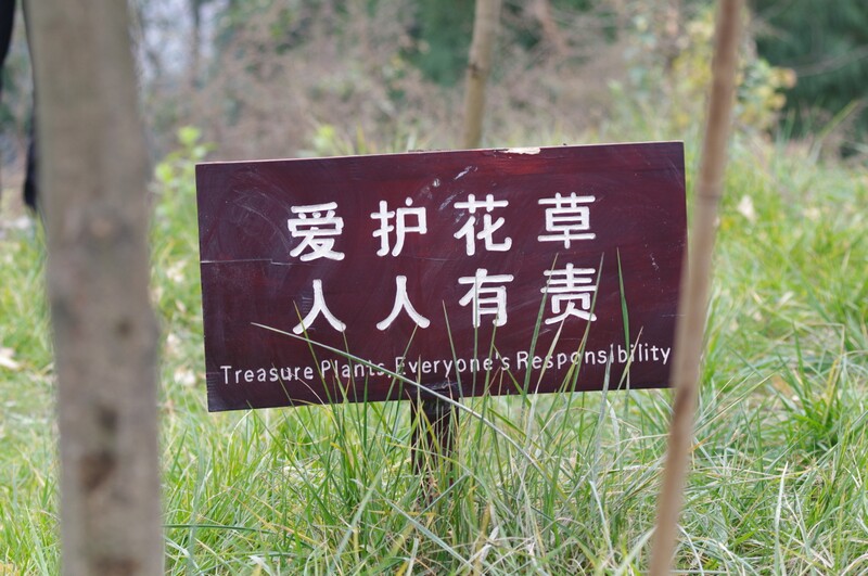 IMGP6614.JPG