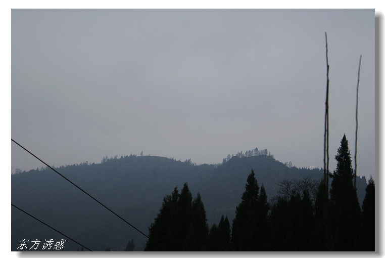 DSC05490.jpg