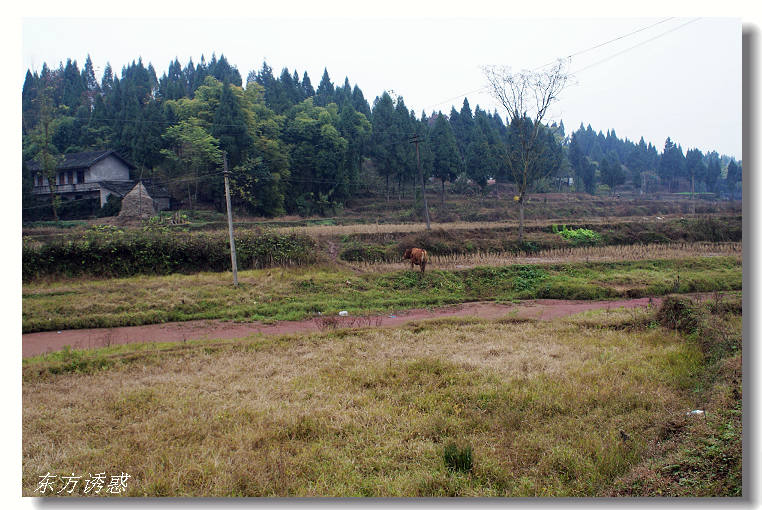 DSC05557.jpg