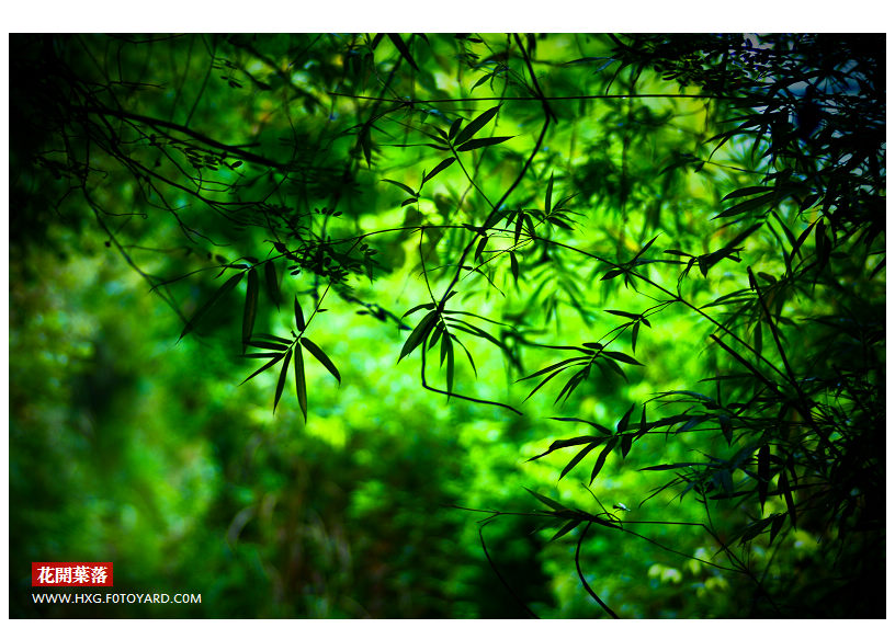 nEO_IMG_DSC02992.jpg