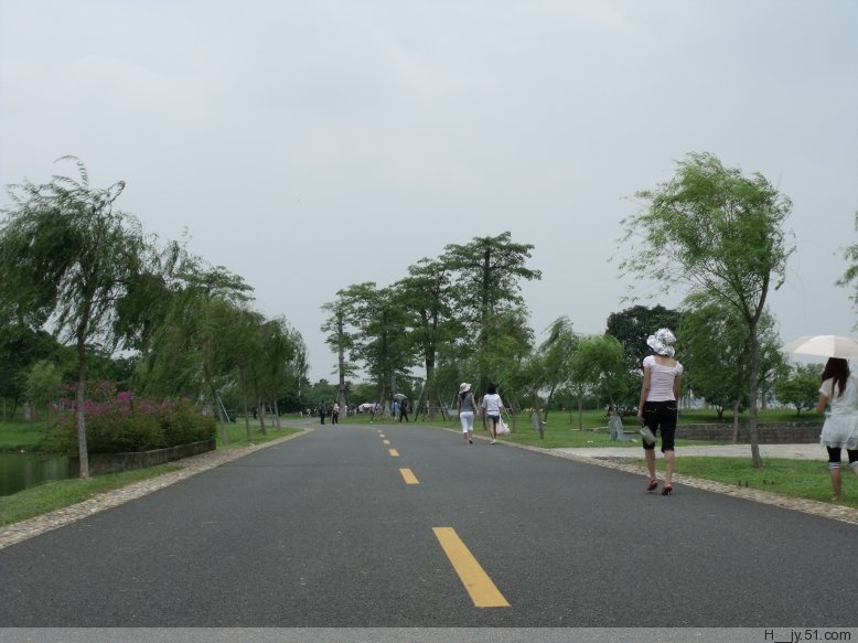 2009358.jpg