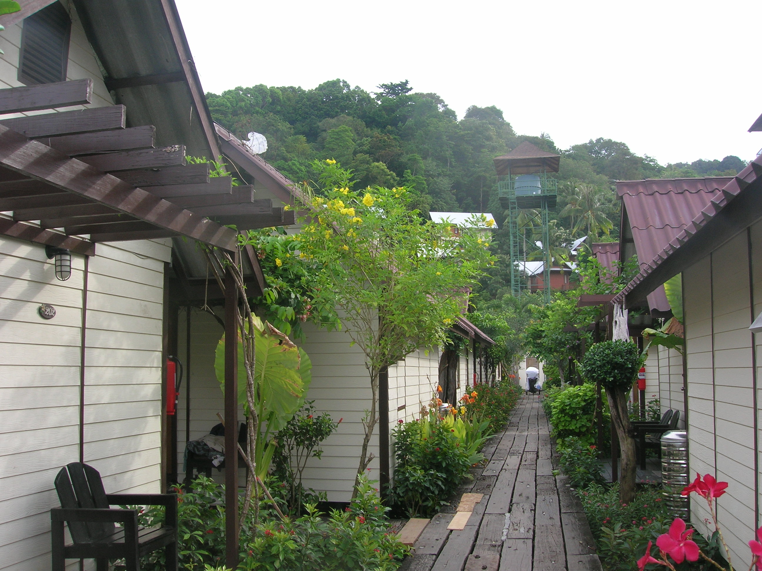 DSCN3342.JPG