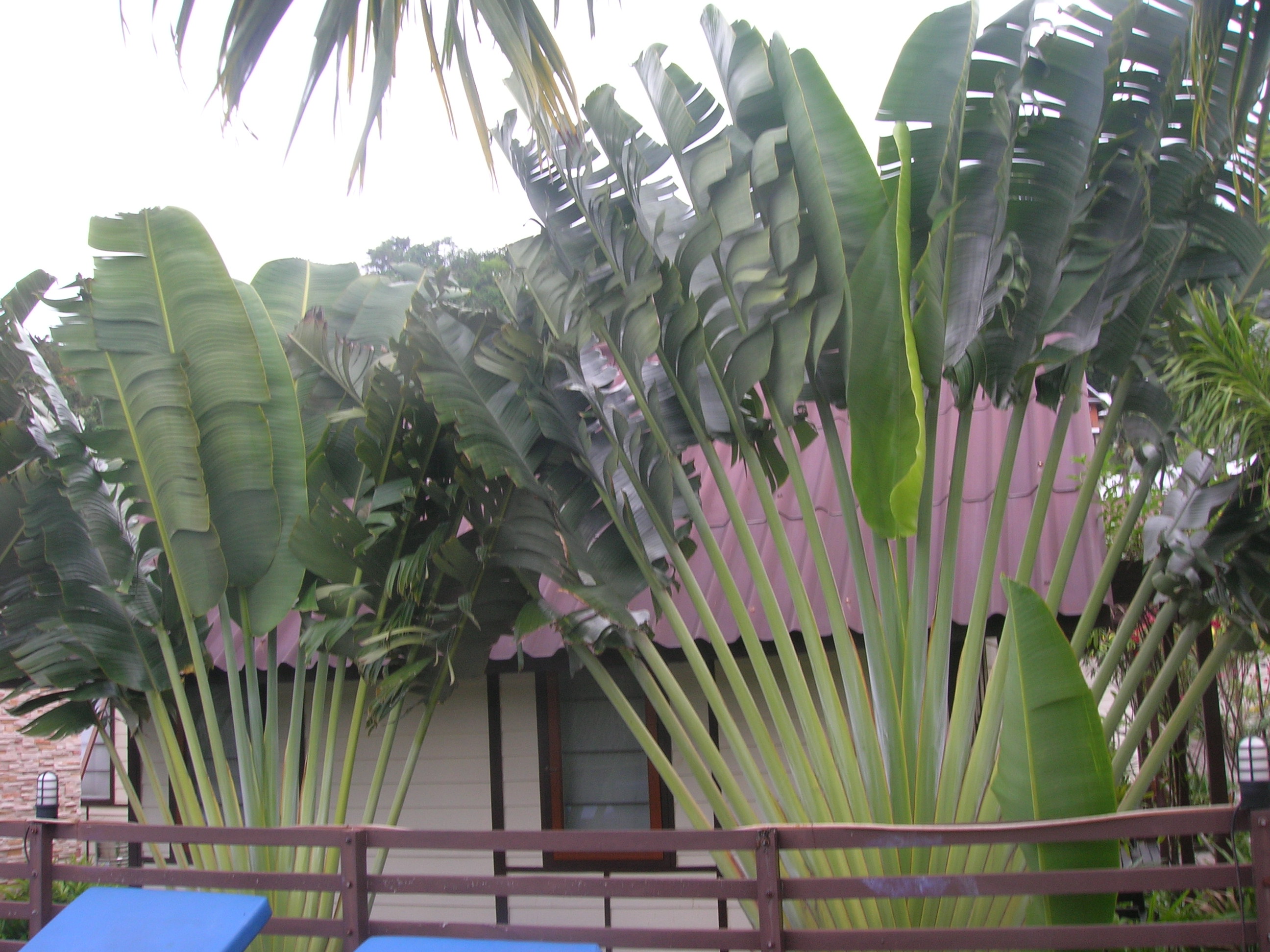 DSCN3338.JPG