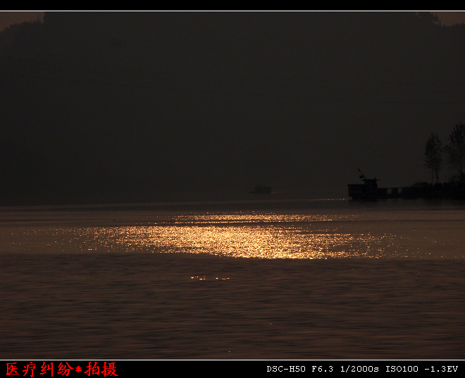 DSC02569.jpg