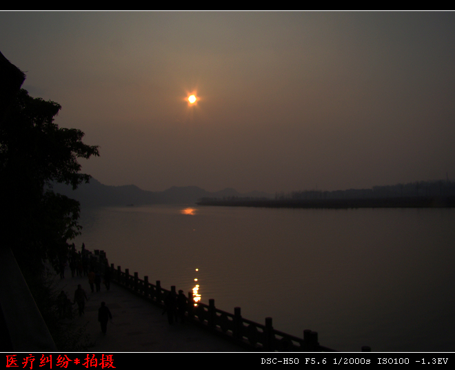 DSC02575.jpg