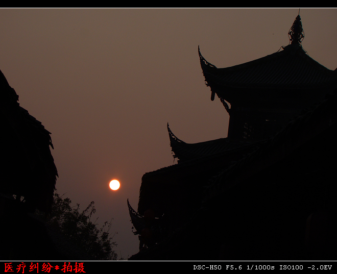 DSC02758.jpg